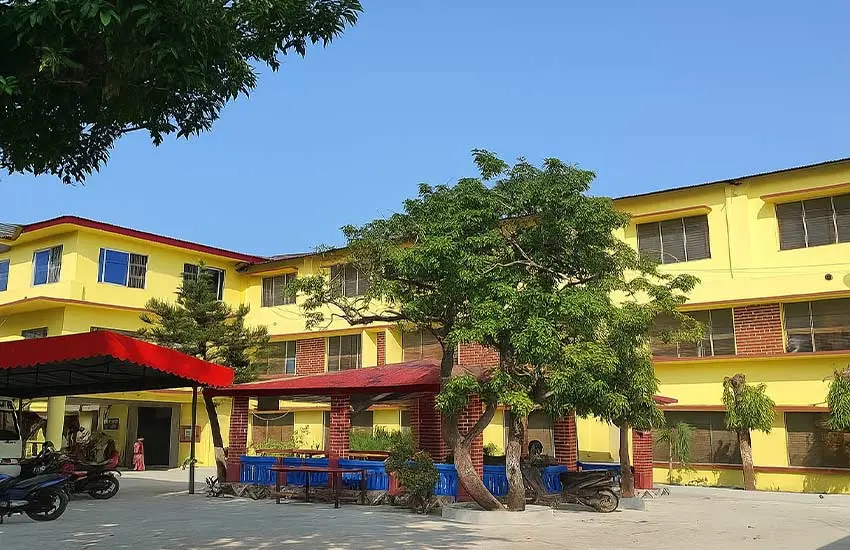 Marketing Consulting